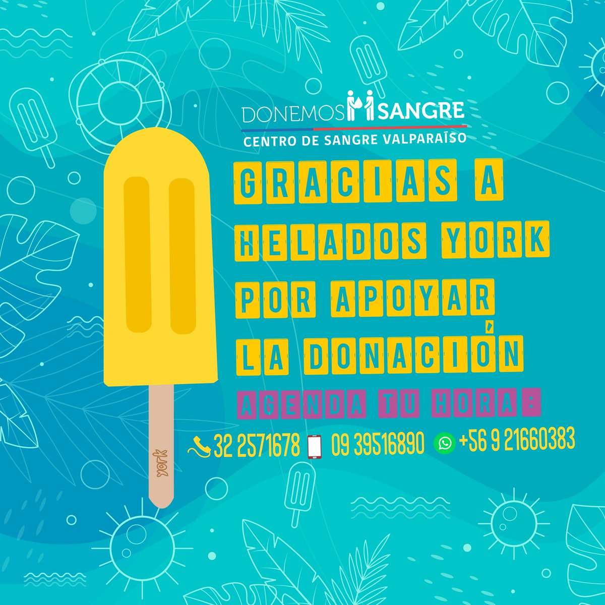 Centro Sangre Valparaíso tweet media