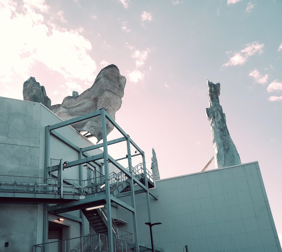 BackDoorDisney tweet media