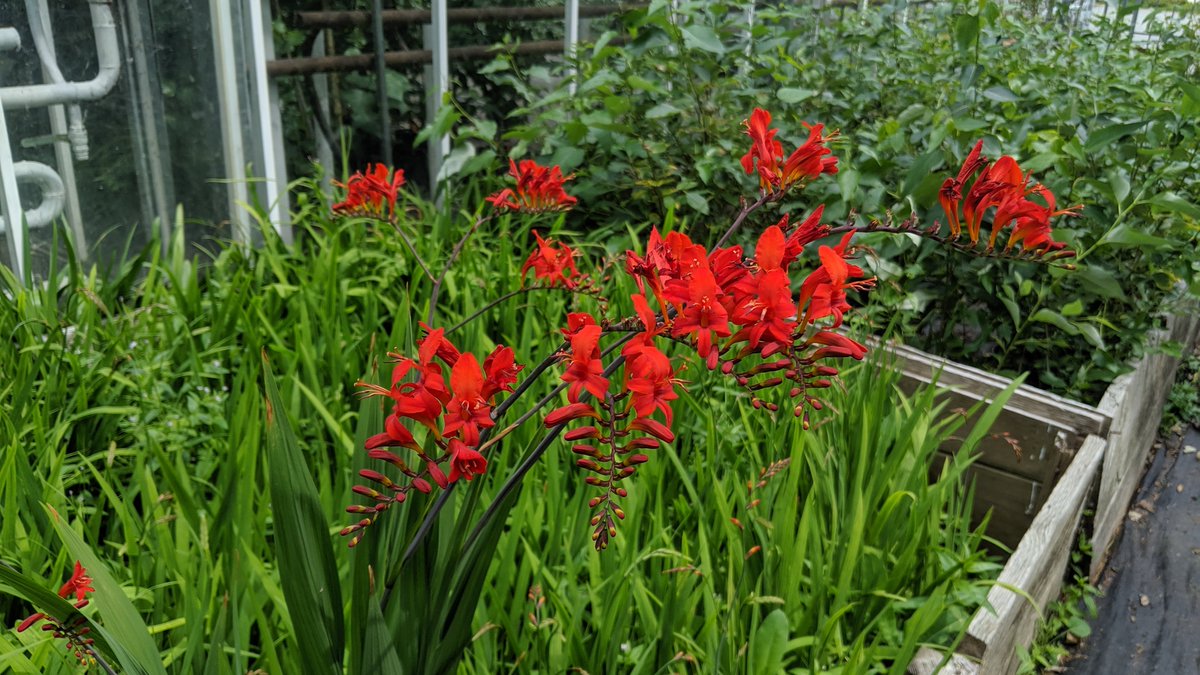 Sandra Irmisch tweet media