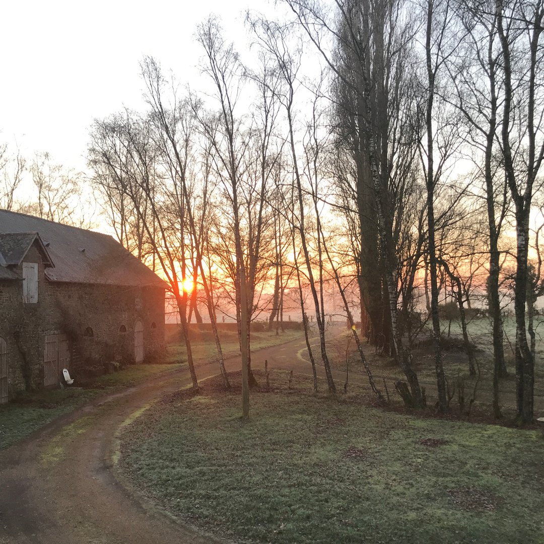hannah1turner's tweet photo. I seem to take a lot of photos of this view from my bedroom window, but this one, on a beautiful frosty morning, was too good not to record. The sun is so low it doesn't ever get above our poplar trees at this time of year, but spring shoots are starting to show! #springonitsway https://t.co/SEHioD3nXF