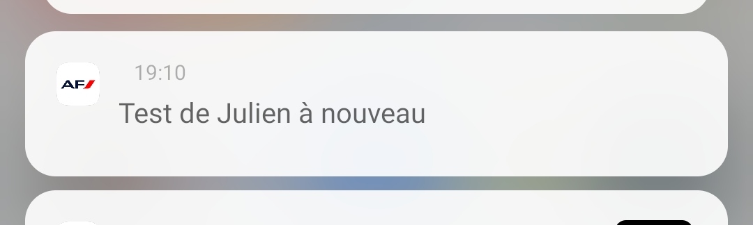RuelleAnthony's tweet photo. @AirFranceFR on a pas appris à vos développeurs de ne pas tester en production ? #AirFrance https://t.co/yT29kpaFnP