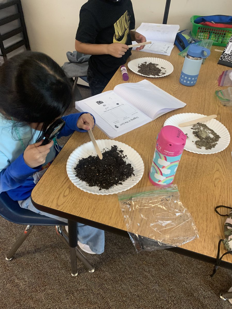 DawnRoth77's tweet image. Soil exploration! 🪱🍂🪨🌱📓🔎@HospElementary @PrincipalElse #kindervibes