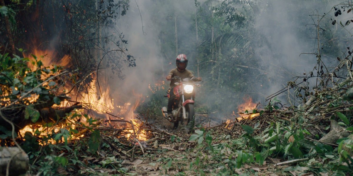TheFilmStage's tweet photo. #TheTerritory is a collaborative work of preservation that is both engaging and terrifying. Read @peachfuzzcritic's #Sundance2022 review: https://t.co/z5IBCQWRsV https://t.co/rO5xlwk25f