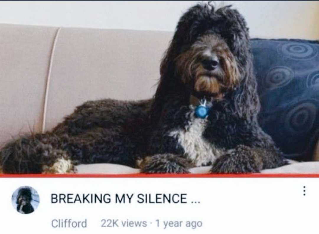 que ganas de ser clifford tomlinson, sin preocupaciones, ni crisis existenciales, sin frustraciones, comida gratis, vivienda gratis, pero sobre todo, recibir completo cariño y amor de louis.