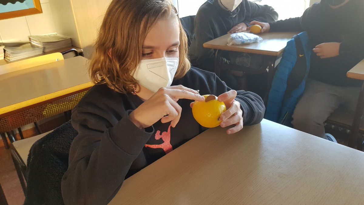 santjosepnavas's tweet photo. Sabies que es pot fabricar una pila amb una llimona, una moneda de 5 cts i un cargol? Avui ho hem descobert al taller sobre reciclatge de piles a 5è de primària, dins el programa Apilo XII.
#apiloXII  #reciclatge #SDGs #somescolaverda https://t.co/69eRIiyQQT