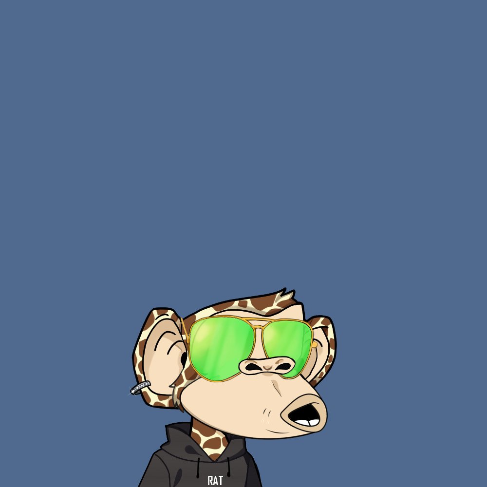 305Terpology tweet media