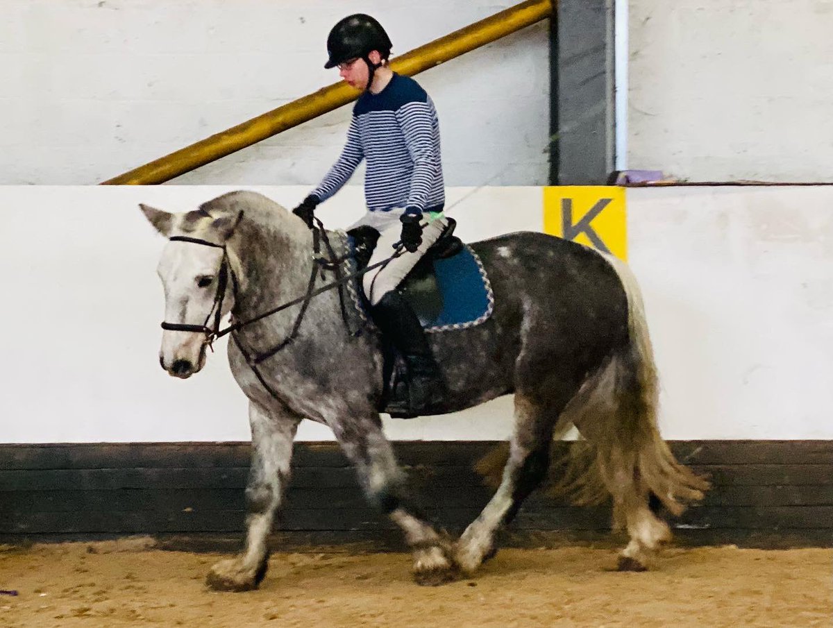 Matthew Dalley tweet media