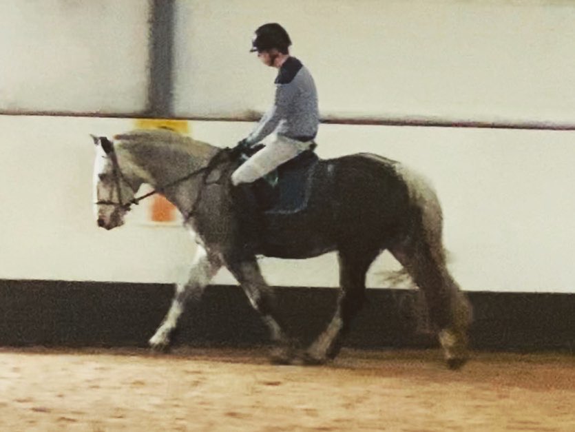 It’s great to be back in the saddle again at @ScroptonRDA today after past few tough weeks recently 🤩 👉🏻 facebook.com/66888434649448… @Equinearenas l @RDAnational l @Jaynehgs l