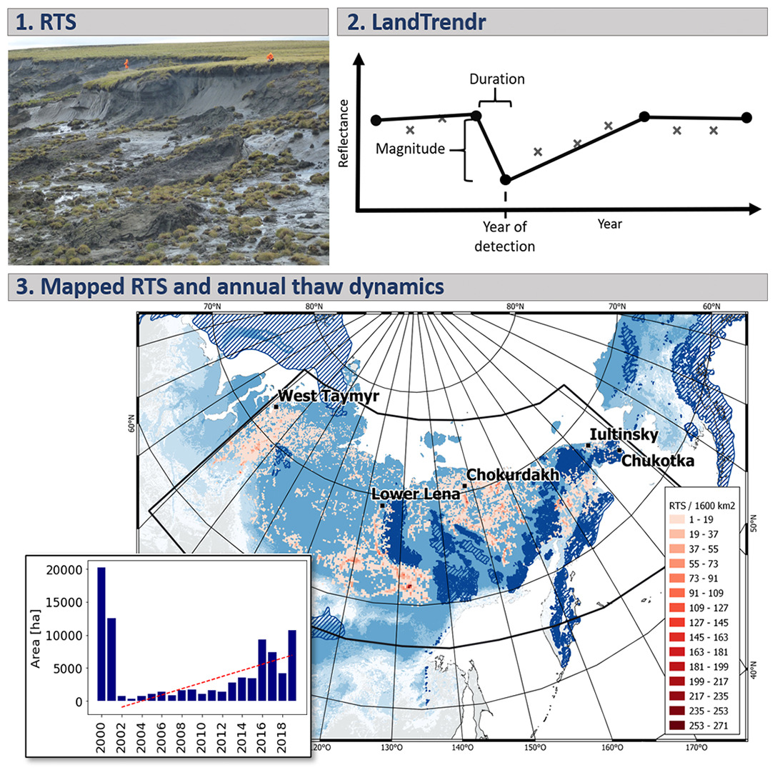 .@RungeAlexandra et al. (2022) apply the #LandTrendr disturbance detection algorithm on combined Landsat & Sentinel-2 mosaics in #GoogleEarthEngine to map & assess abrupt permafrost thaw disturbances at a large scale in North Siberia. #LoLManuscriptMonday bit.ly/Runge_2022