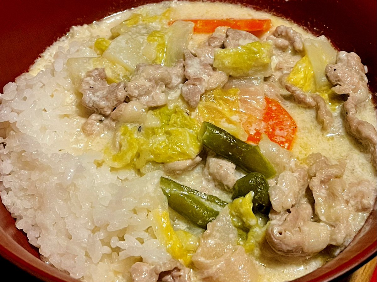 結局、豚肉クリーム煮ご飯うめえ
白だしと鶏がらスープと豚骨スープ適当に入れた 