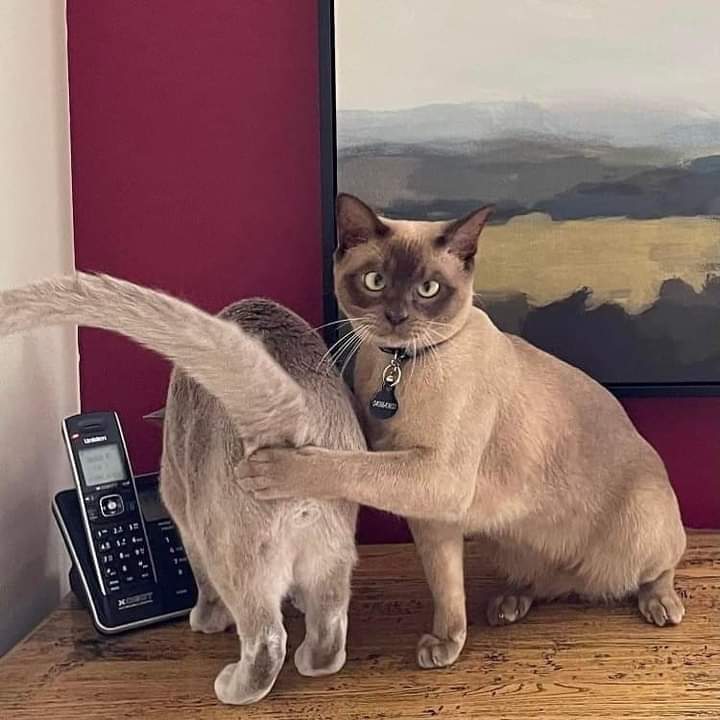 Sandra Holtzkampf (@suzieqt4) on Twitter photo 