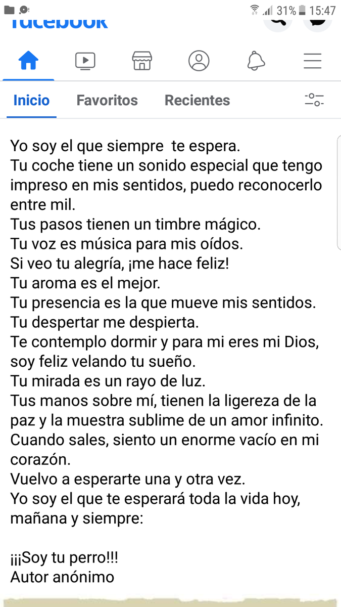 PaulaBachi's tweet photo. Yo soy el que siempre te espera toda la vida
tu voz es música para mis oidos
#tuperro
#perro 🐕🐶 https://t.co/kyW1dW3u23