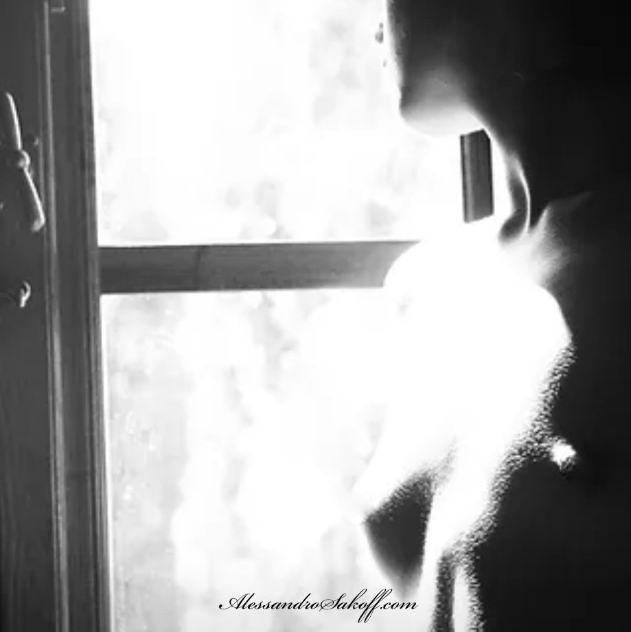 ASakoffVisions's tweet photo. #Feelings #Sensations #ComingBack #Sentimenti #Sensazioni #Model #Models #Modella #Ragazza #Girl #ItalianStyle #Shooting #Nude #Nudo #NudoArtistico #Tuscany #Toscana #Photography #Fotografia #BlackAndWhitePhotography #FotografiaBiancoENero #PhotoOfTheDay #PhotoShoot #ArtOfTheDay https://t.co/2s4lGoAS4a