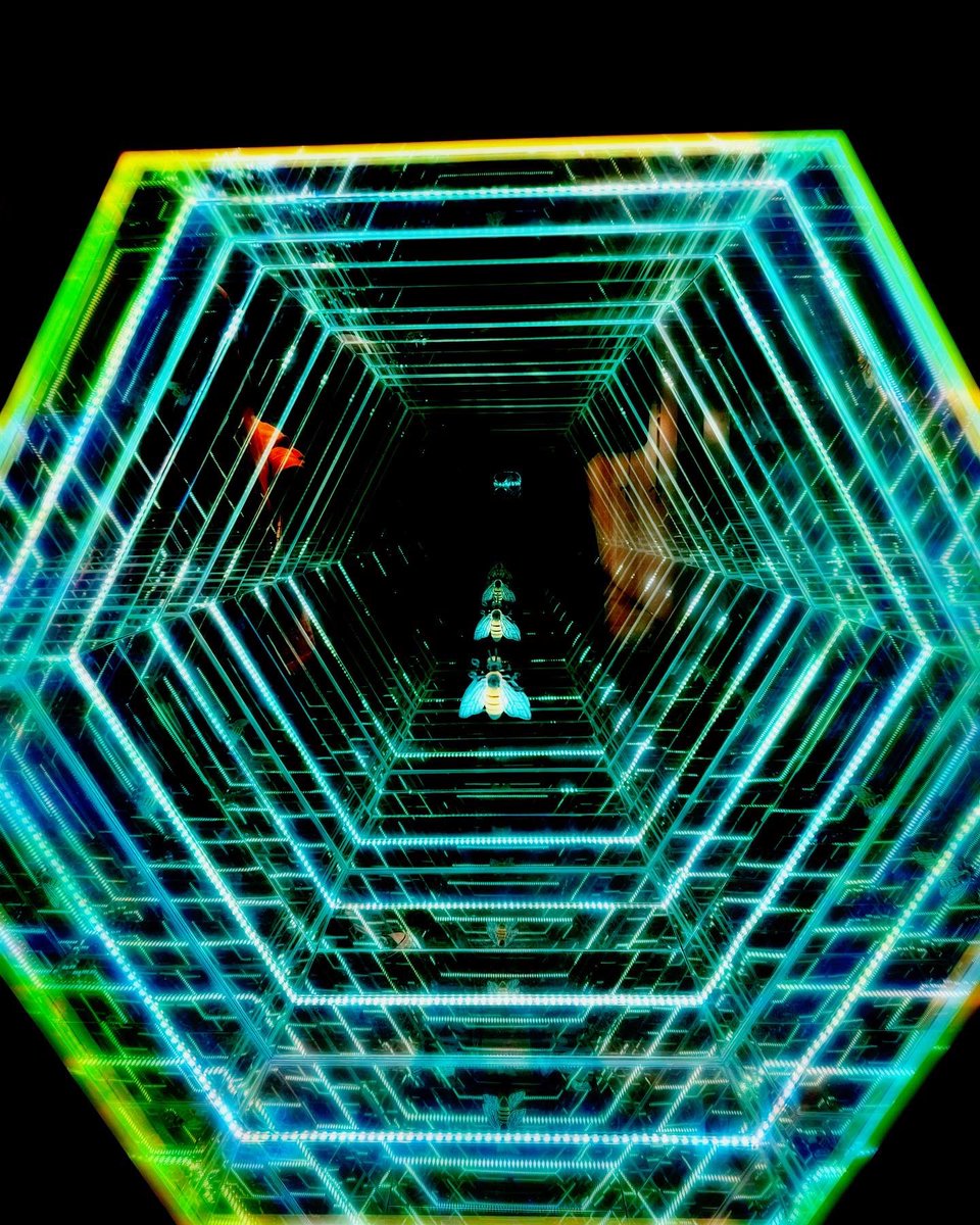 jackychew's tweet image. CAPTIVATING
#SGArtWeek #arttakesover #streetphotography #appreciateart #artinstallation