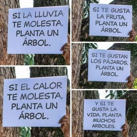 🌳🙏 No deforestes, porque se nos acaba la biodiversidad y el agua!