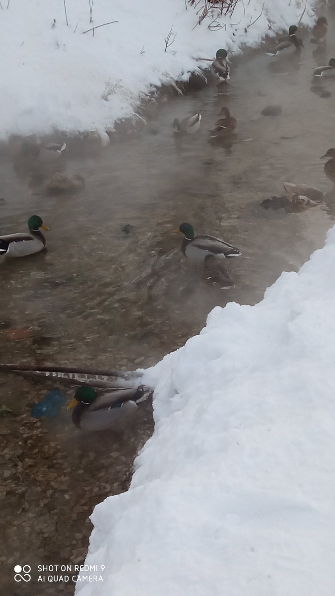 <a href="/SamMobilePriem/">Мобильная приемная Губернатора Самарской области</a>  <a href="/samrec63/">СамРЭК-Эксплуатация, ООО</a>      <a href="/ZhigMobilePriem/">Мобильная приемная администрации г.о. Жигулевск</a>             
<a href="/NizhegorodovVG/">Вячеслав Нижегородов</a>
Дорогие друзья!  Благодаря " неустанной " работе <a href="/samrec63/">СамРЭК-Эксплуатация, ООО</a> и "Благоустройство" в Жигулевске скоро начнет работать достопримечательность -"природный " термальный источник" Ручей Морквашинский".