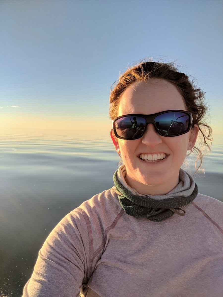 AnimBehSociety's tweet photo. 1/6 Hello and happy Monday! I’m Taylor Evans, here to host #ABStakeover today! Very excited to chat about #dolphins, #personality, the intersection of individual sociality and ecology, and why long-term studies are important for our understanding of animal behavior! @TCamille22 https://t.co/chJlyRX8pN