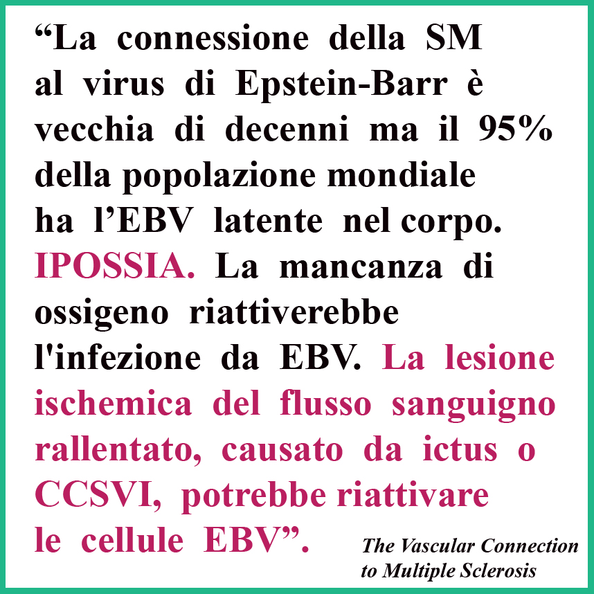 CCSVI_nella_SM's tweet photo. "La connessione della #SclerosiMultipla al virus di #EpsteinBarr non è nuova, i ricercatori lo hanno notato da decenni .. il 95% dell’intera popolazione ha l’#EBV ... l'IPOSSIA (o basso contenuto di ossigeno) riattiva l'EBV.. "
Dettagli: https://t.co/FD5MajOXRs
#CCSVI #ipossia https://t.co/c2786U5jVd