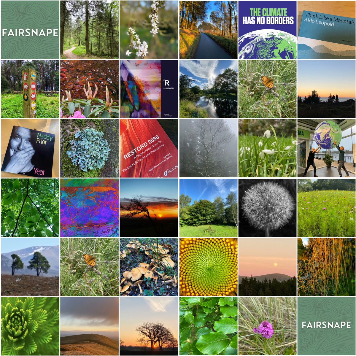 2021 A Year of Regenerative Thinking buff.ly/3HO1YN9 via @fairsnape on @Thinkers360 #Ecosystems #Sustainability