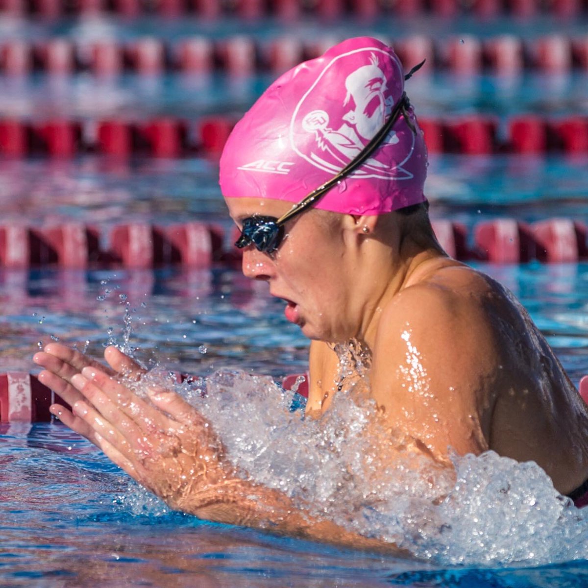 FSU_Swimming's tweet photo. It’s senior week! 

We’ll be recognizing our senior class this week ahead of our meet vs. Tampa on Friday at 2 PM, and who better to start with than our 2x team captain, 2x FSU record holder and 2x NCAA qualifier, Nina Kucheran!

#ThankYouSeniors #Noles https://t.co/8zxRB8C0iD