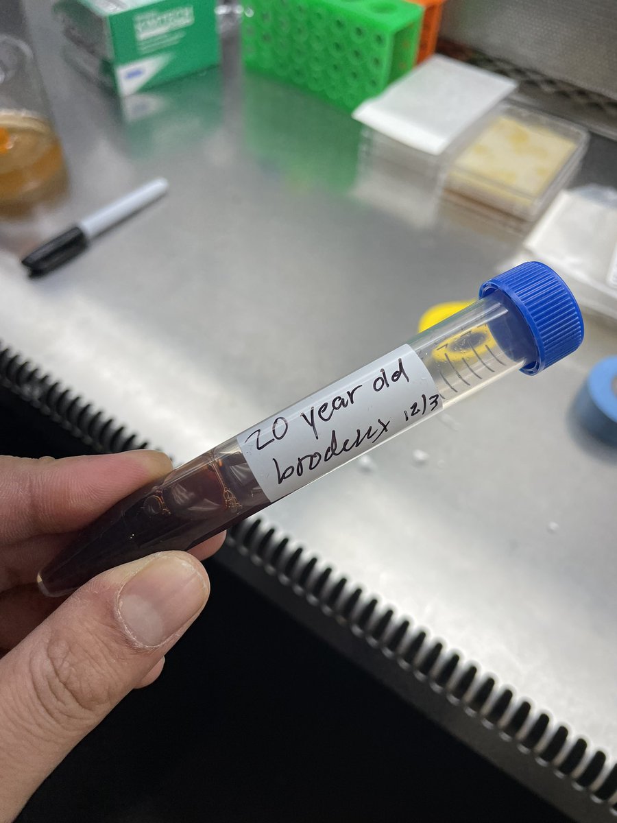 found during lab clean up @supercultures