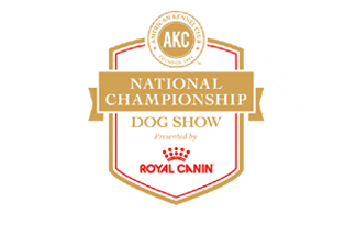 2022 AKC National Championship Judging Panel Now Available  caninechronicle.com/?p=222801

#AKC #WKC #AKCNationalChampionship #Orlando  #sunshinestate