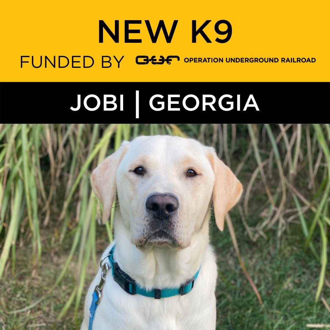 Our Rescue tweet media