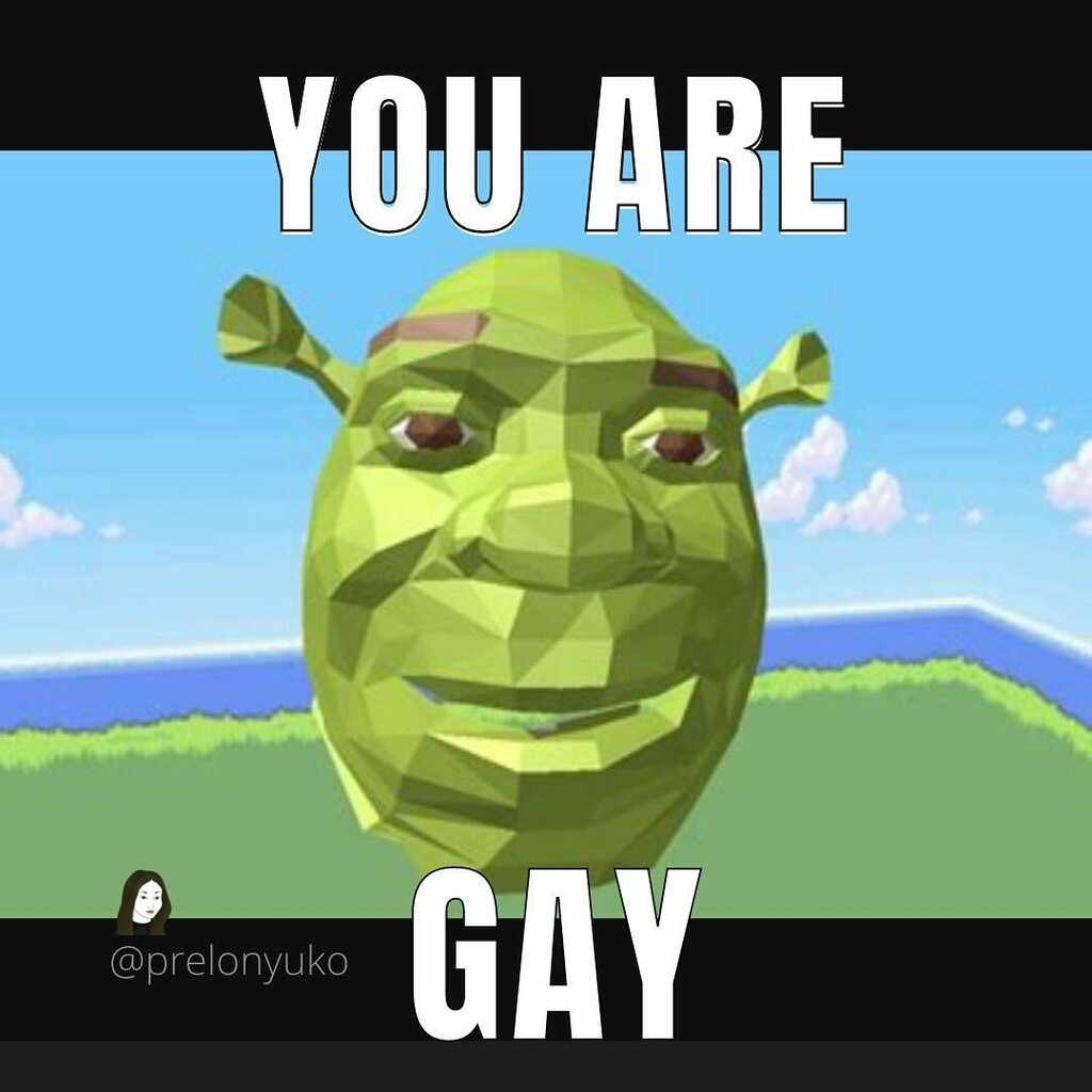 shrek meme 