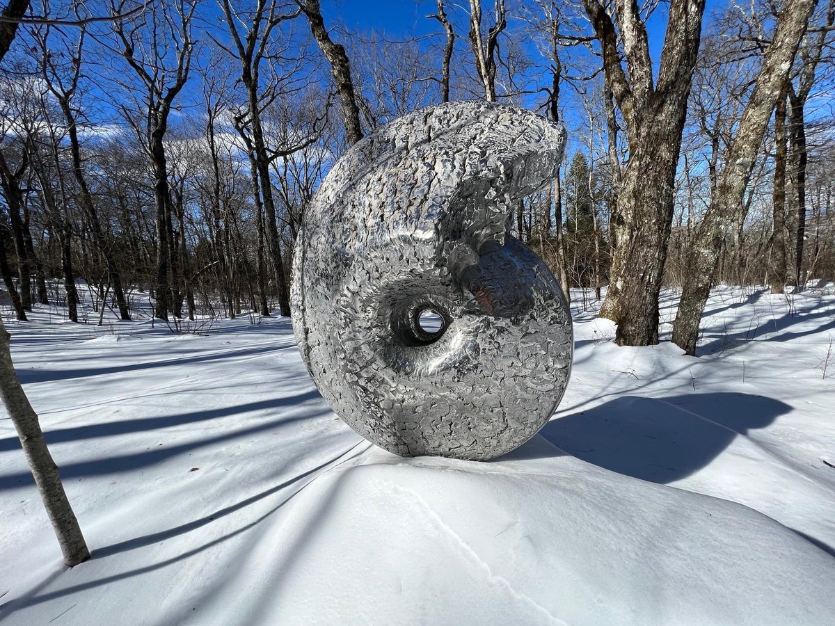 Ammonite Cretaceous #stainlesssteel 2018 beautifully #photographed within the #landscape at #SouthernHighlands #Reserve, #NorthCarolina #USA 

hamishmackie.com/sculptures/amm…

#ammonite #ammonitefossil #cretaceous #fossil #jurassic #sculpture #sculptureart #statue #art  #stainlesssteel