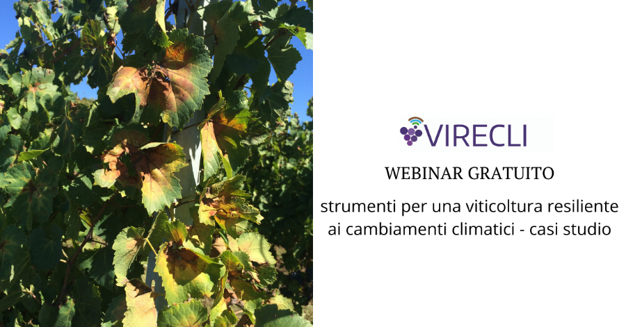 🍇Abbiamo organizzato per il 3 febbraio (ore 11) un webinar per aggiornarvi sui risultati intermedi del progetto VIRECLI. 
E' gratuito previa registrazione al link 👉 infowine.com/it/appuntament…