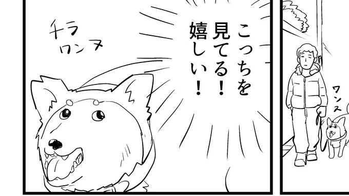 コミティア用に日記たくさん描いてます
犬の描き方忘れちゃった 
