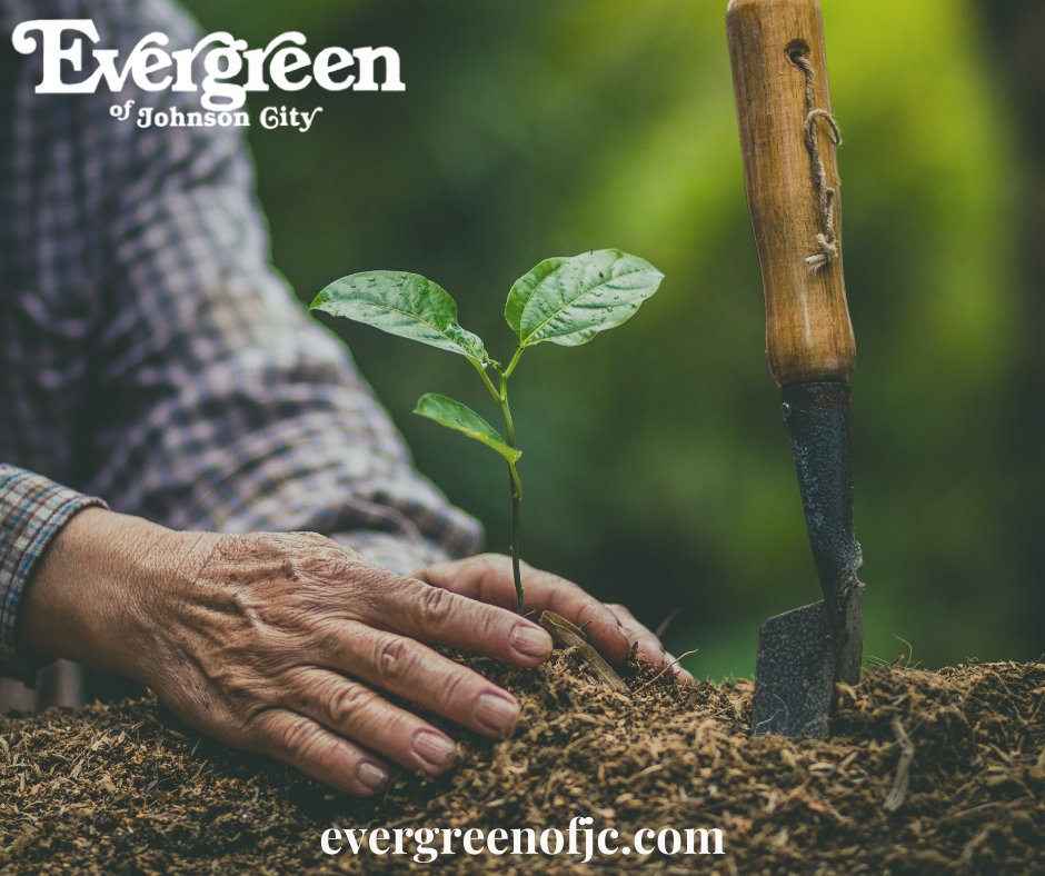Evergreen_JC's tweet photo. Winter is a fantastic time to plant shrubs, trees, and many perennials: https://t.co/wWTvEnCyof
#EvergreenJC #GardenShop #ShopLocalJC #HomeGrownLocallyOwned https://t.co/FjSlyA1WBQ