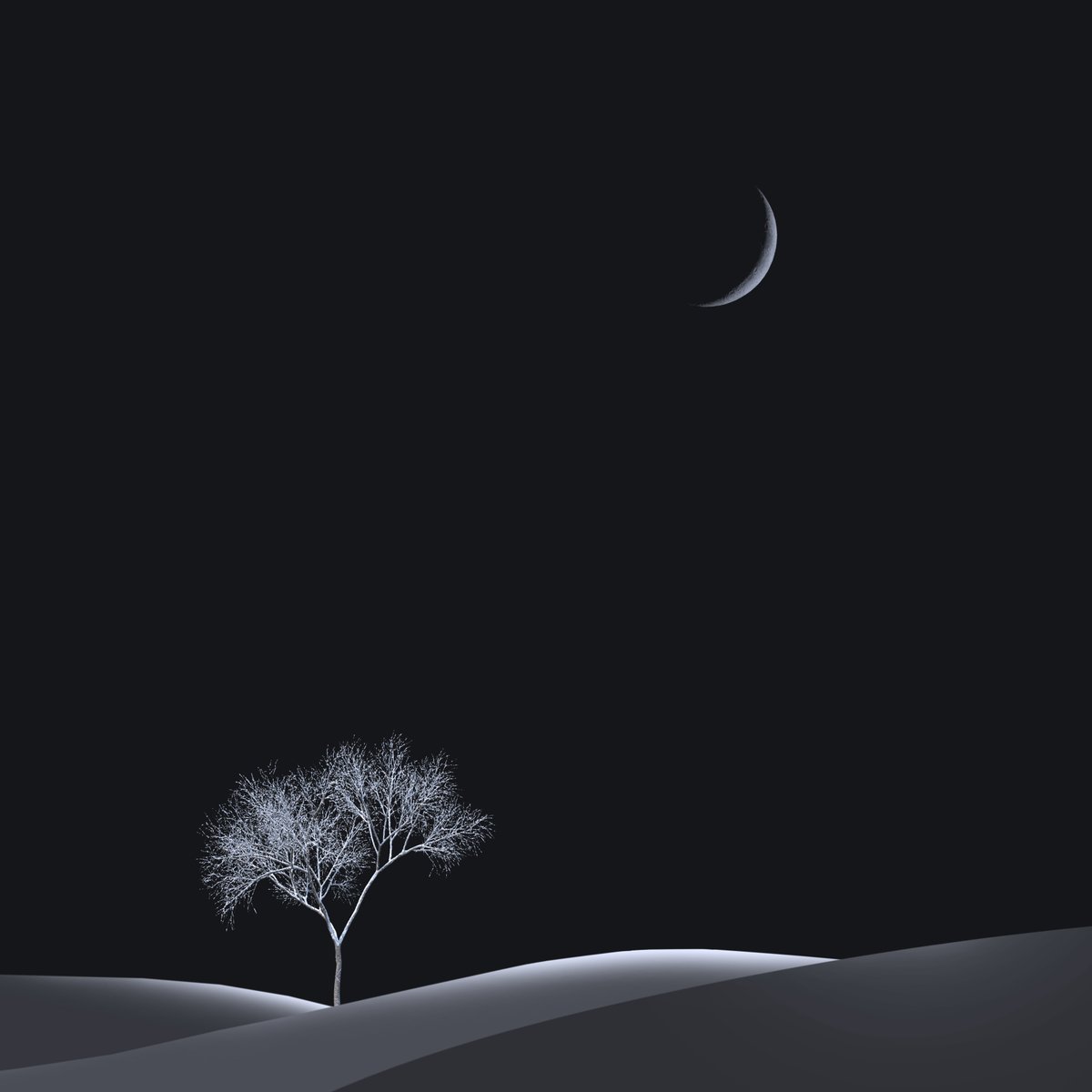 Iman Tehranian ᴺᶠᵀ tweet media