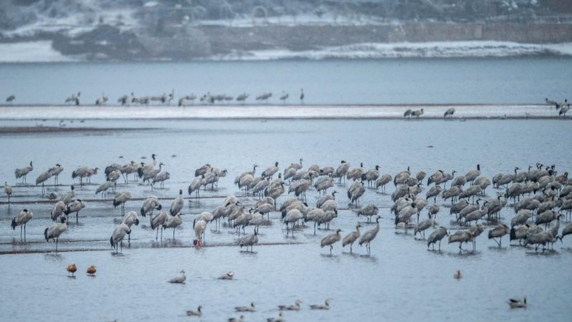 Chineinfocom's tweet photo. #Panorama : #paysage hivernal du district de #Huize à #Qujing, dans la province du #Yunnan (sud-ouest de la #Chine).
#voyage #tourisme #nature #hiver #neige https://t.co/pCV4tzRJA1