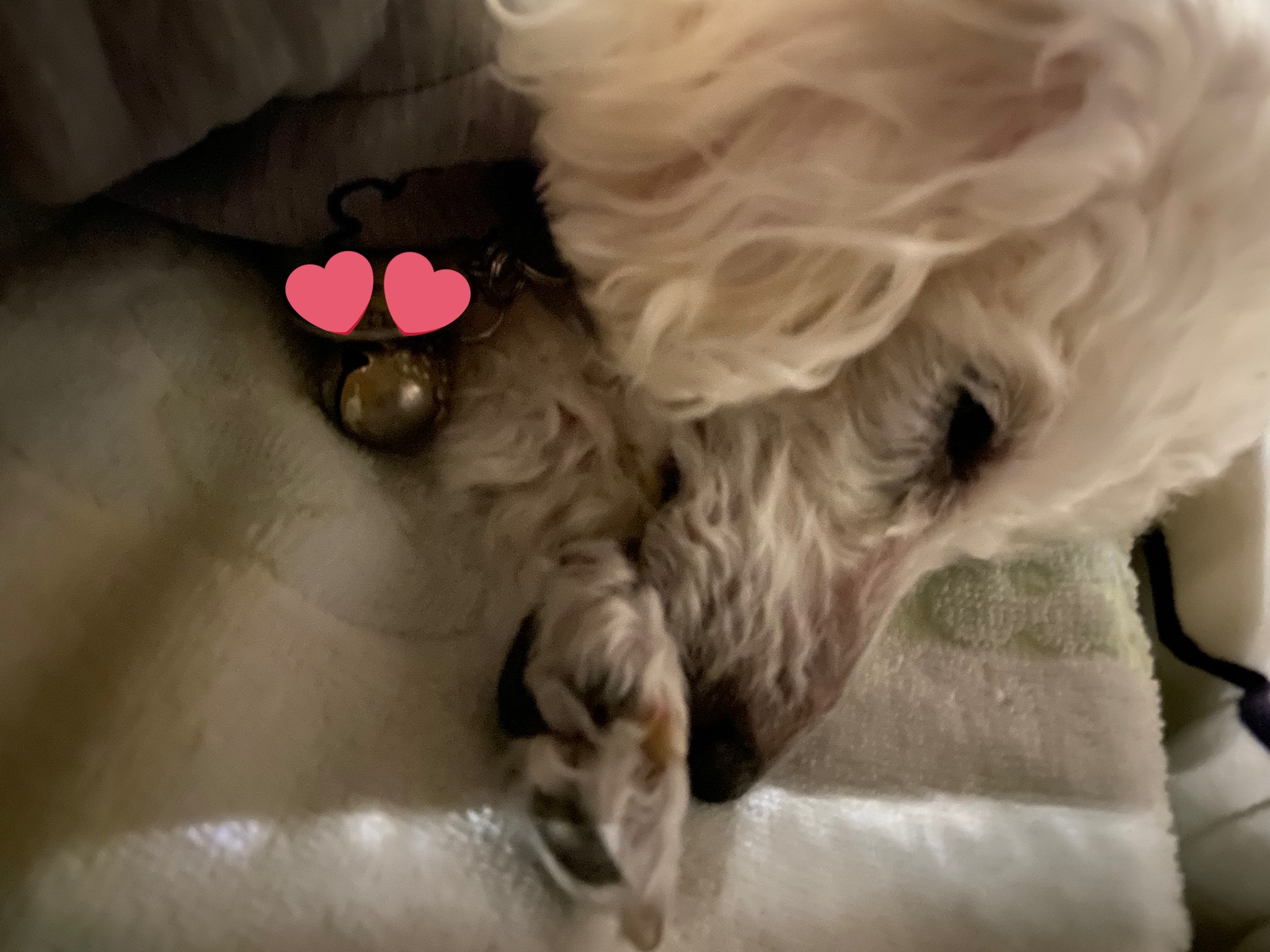 みお 3riry Mya0e1 Twitter
