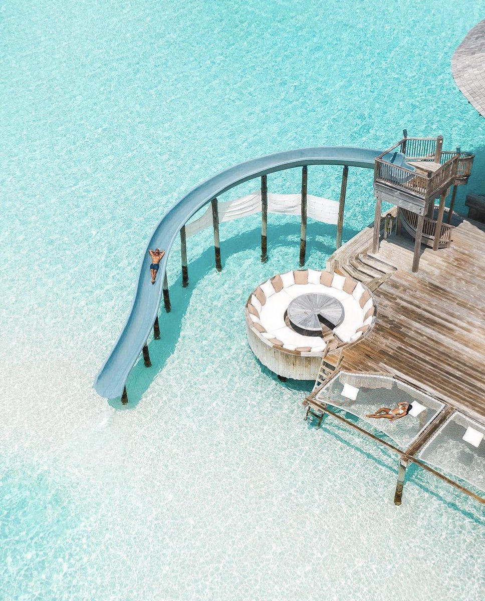 Dragonfly Holidays tweet media