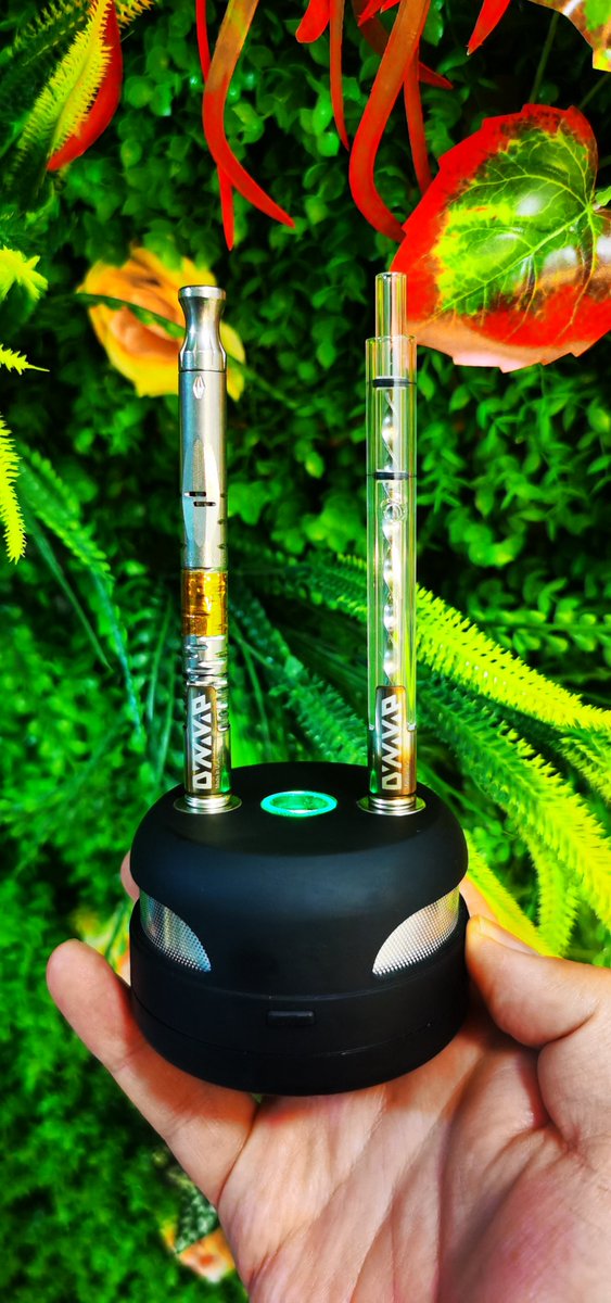 VapingFans's tweet image. how tall it is !
DV Stem Pro -- for Dynavap

there is no need put your CCD screen into the bowl ... it was full glass screen with 7 holes ~~~ except caps ! 

visible vape / vapor / get it clean / easy too use !
#dynavap #dynavapstems #dynvapcommunity  #dynavapeurope