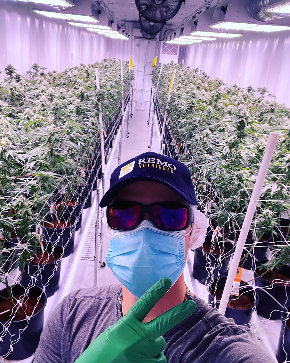 Cypress_Craft's tweet photo. These plants are thriving on @remonutrients. Have a great week everyone! 😎 https://t.co/ZhU4MdqV2y