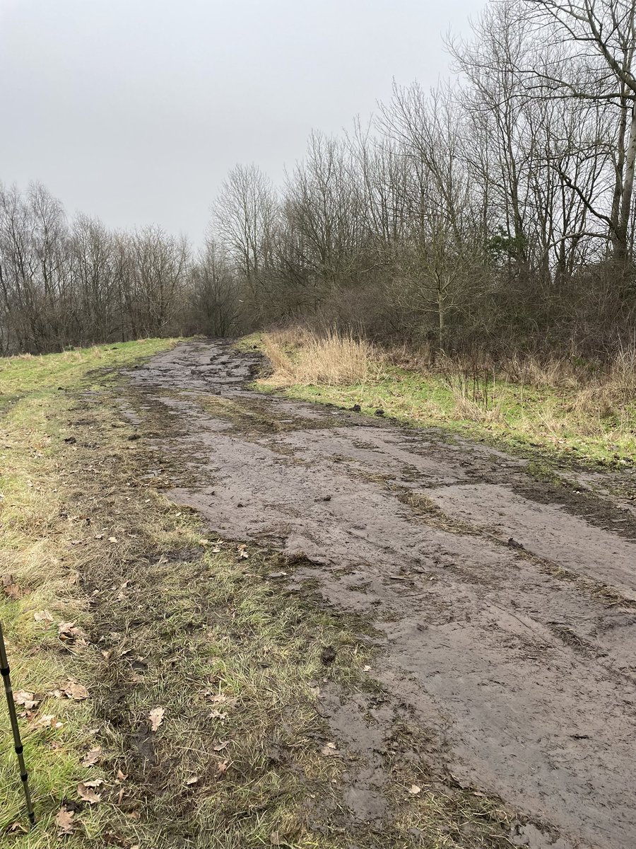 Troubleuk2010's tweet photo. @NorthernRootsOL @Oldham_Hour @OldhamCouncil @Lancswildlife @DaveenWallis @GMGreenCity @gmenvfund @MancunianBirder @Lindsey_Chapman @RSPBManchester How can u justify leaving the paths like this https://t.co/pRudCcAyA0