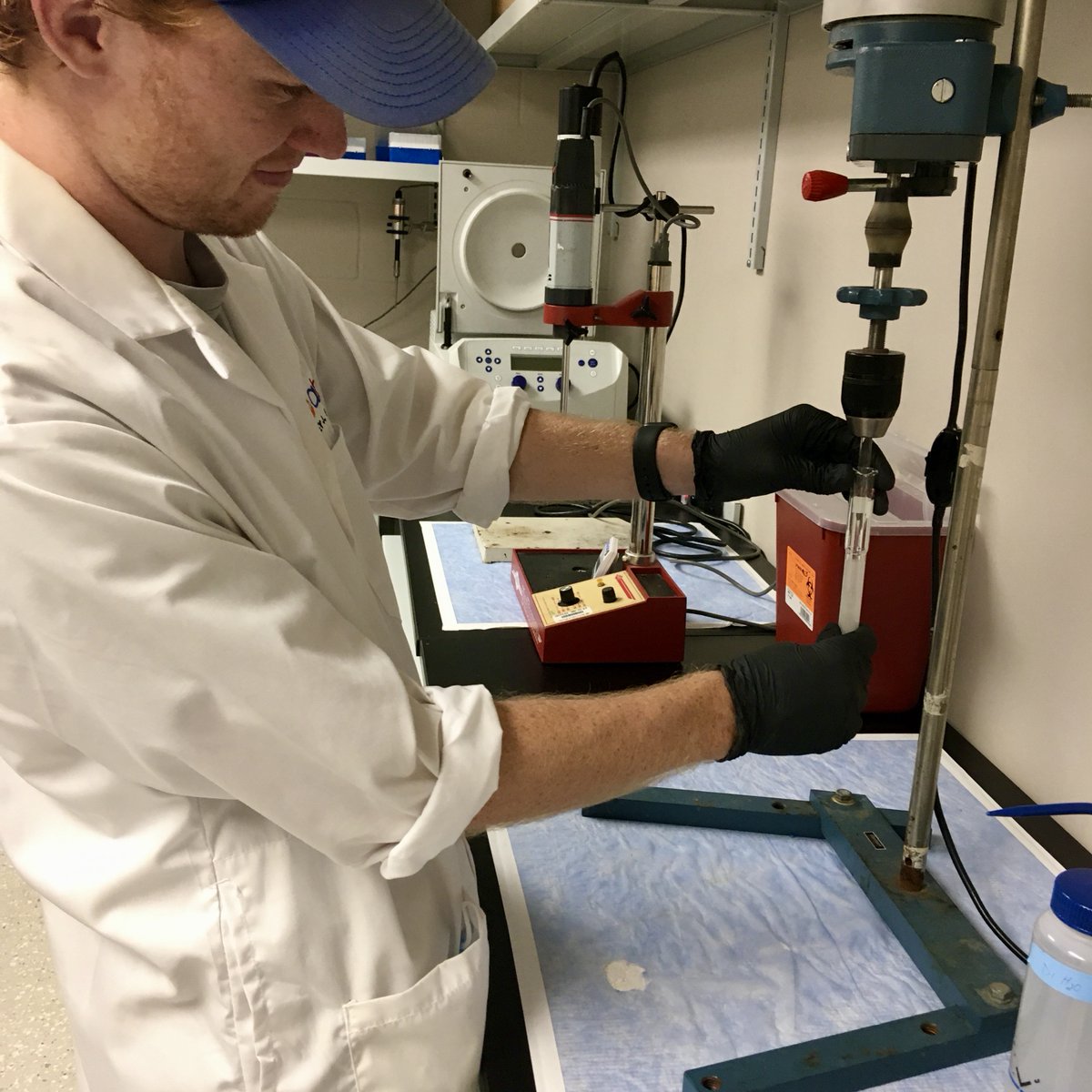 UF_HHP's tweet photo. #UFHHP Spaces: Take a tour of the Molecular Cardiology &amp; Myology Laboratory (@MCML_UF) run by Ashley Smuder, PhD, assistant professor in the Department of Applied Physiology and Kinesiology.

Take the tour: https://t.co/4CnXrDbSDF 
#UFresearch https://t.co/iX0ZgcygBH