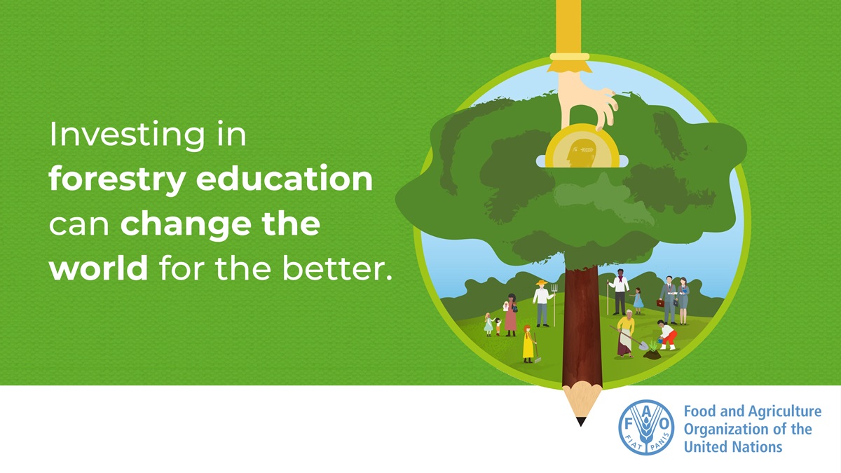 Investing in forestry education can change the world for the better. 

#EducationDay