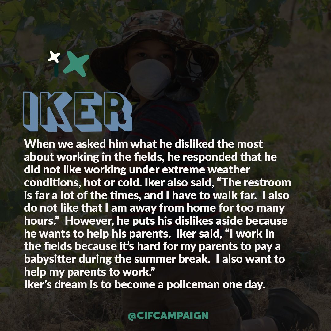 CIFCampaign's tweet photo. 🍇At the moment of the interview, Iker was working with his parents in very hot weather conditions. He was picking vineyard grapes. He looked very tired.
👉Swipe to read more about Iker's story.
💙Raise awareness with us, please share!
#farmworkerchildren #childlabor https://t.co/RhzcC92A26