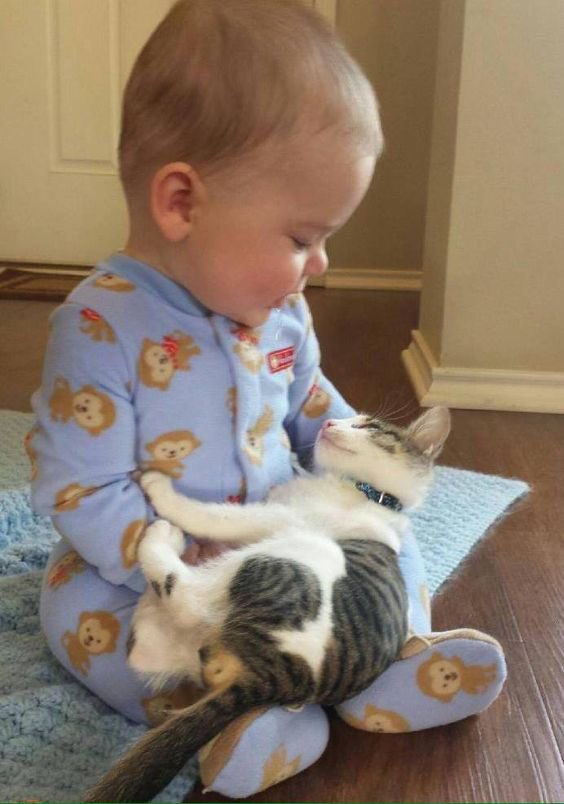 cuteanimalspict's tweet photo. https://t.co/Lc8XsKd4MR