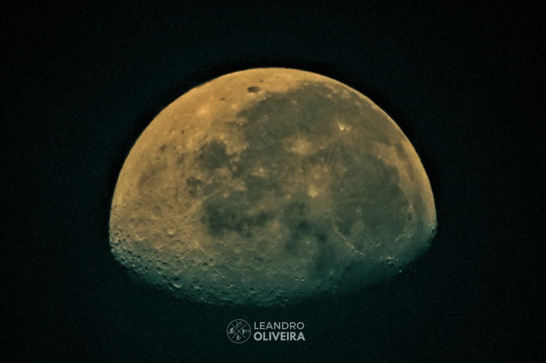 Leandro Oliveira tweet media