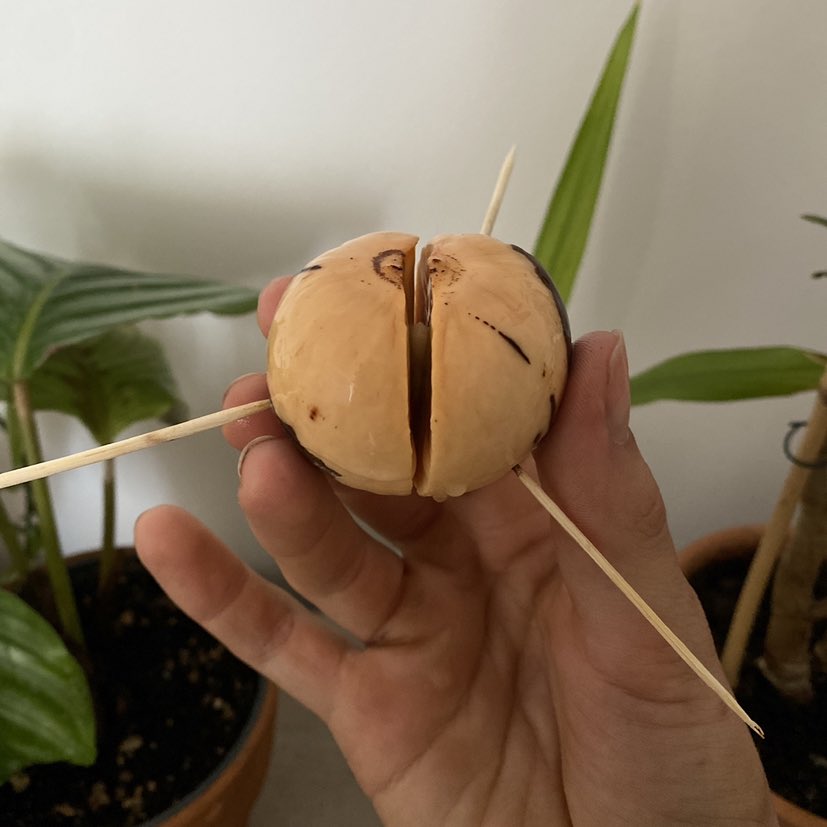 🏋🏼 Mathie tweet media