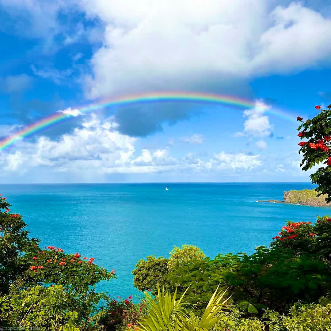 Promise yourself a trip to the BVI this year! The views are as beautiful as this...all year round. 🌈☀🌴

📸: tropicallie_travels (IG) 

#bvi #britishvirginislands #tortola #paradise #MondayBlues #bviblues #caribbeandestination #guanaisland #palmtrees #vacationhere #BVILove