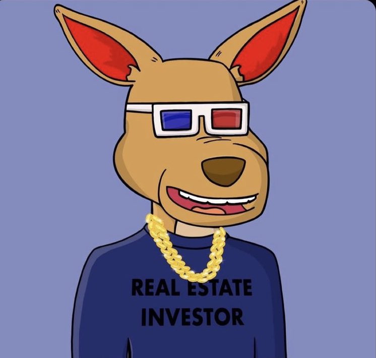 KangarooHeroes's tweet photo. Thought we was Pushin 🅿️ 
Whole time we was Pushin Roo’s 😎 

These are our favorite Roo’s what are yours⁉️ Drop them below ‼️ https://t.co/I1M4vhRqAR