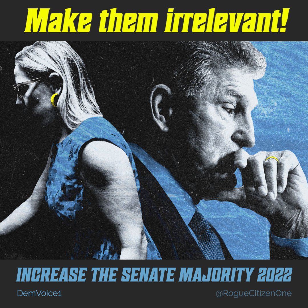 ZemanLynnZ's tweet photo. @Sen_JoeManchin Meanwhile…
#BlueWave #VoteWV #VoteArizona https://t.co/DCWy1VBd6m