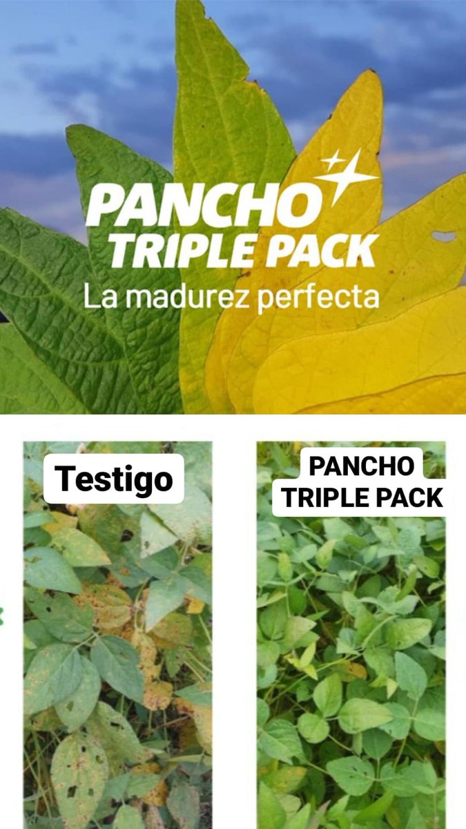 LaboratNOVA's tweet photo. 💻Capacitación Técnica sobre productos para sojas en estadio reproductivo con El Bozal. 
✅Productos NOVA: ÉXITO, PANCHO TRIPLE PACK, SOGIX, CYCLON y CYCLON PLUS.
Participaron: técnicos del distribuidor, Gerente Técnico de NOVA, Responsable comercial y RSTM. https://t.co/mZxGL3kTqn