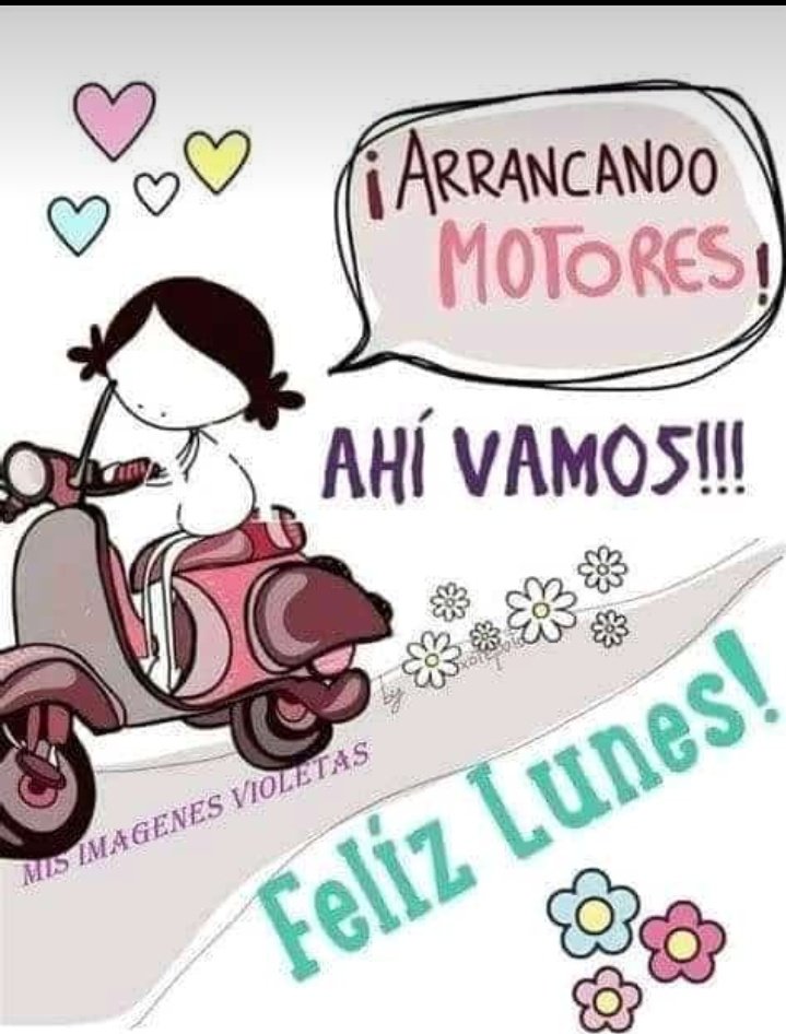 IsabellaANR's tweet photo. @zramz2409 Buenas tardes Zaida cariño siempre al día con todos nosotros, así que damos la bienvenida a éste inicio de semana 🤗❤️🌻 https://t.co/ToquClGa1w
